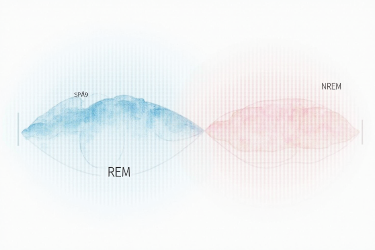 Newborn sleep cycle diagram REM and NREM